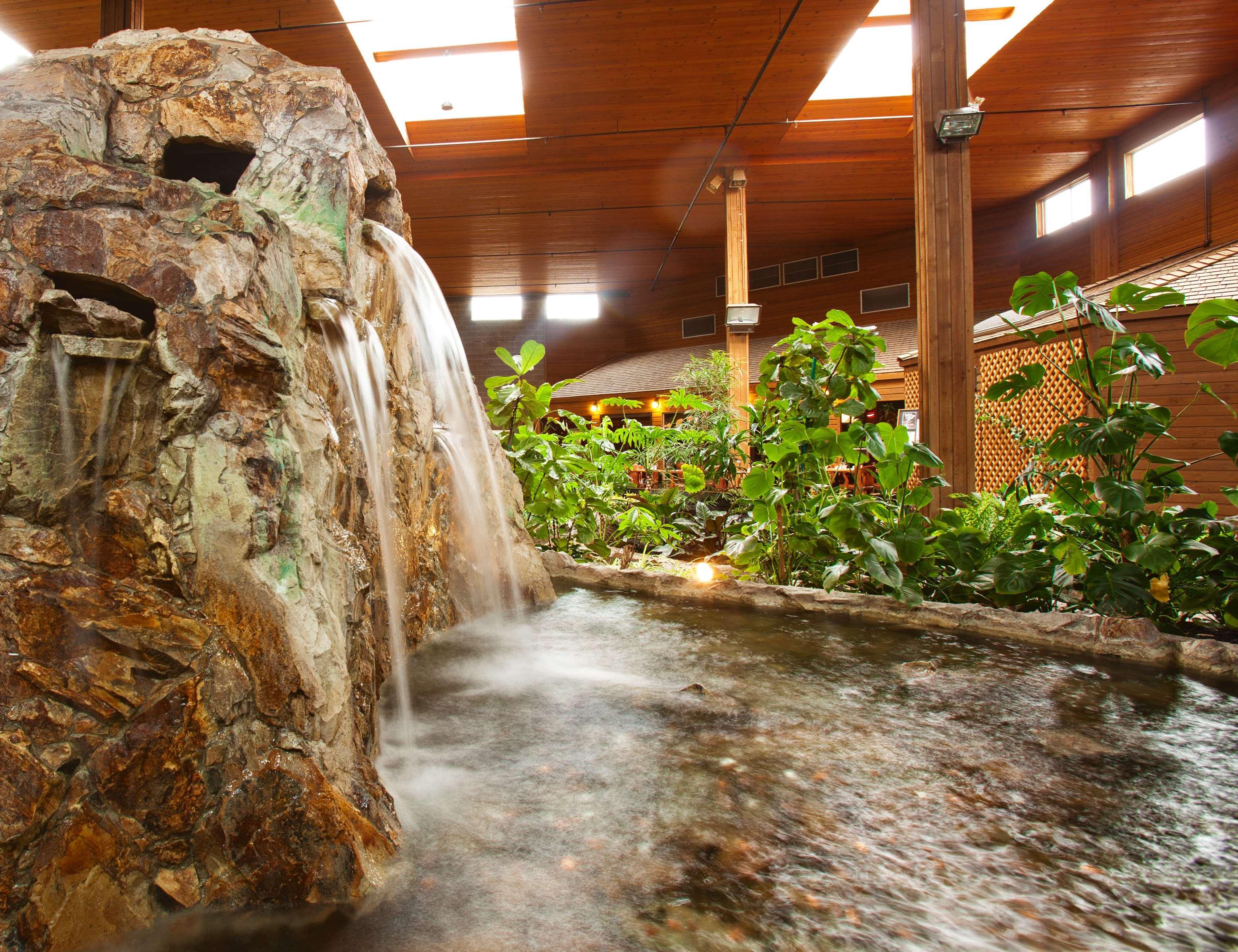 Best Western Premier Ashton Suites - Willowbrook Houston Zewnętrze zdjęcie